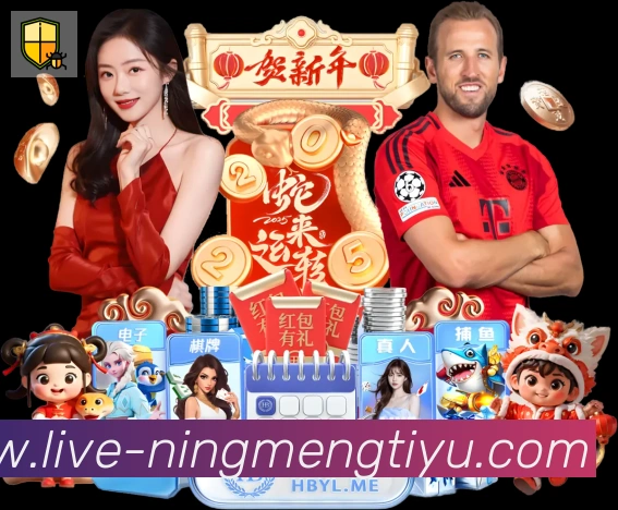企业概况