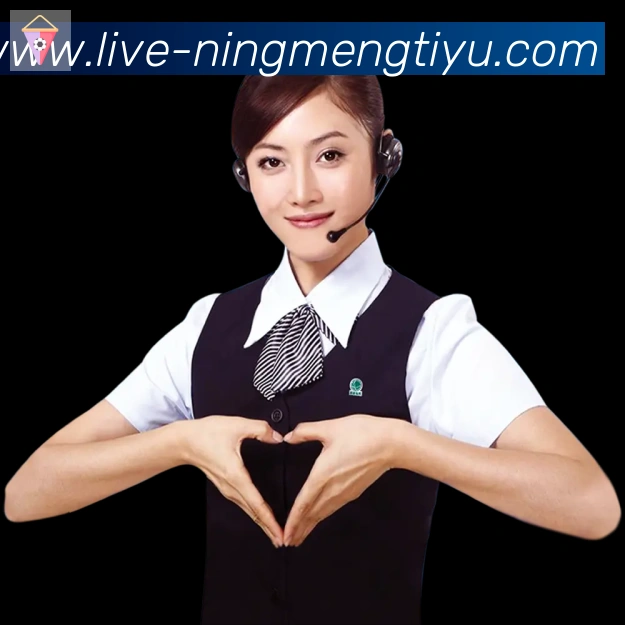 奖项证书